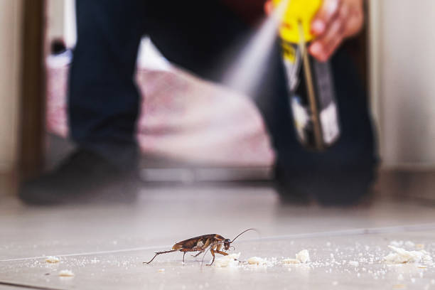 Pest Control for Restaurants in Georgetown, DE
