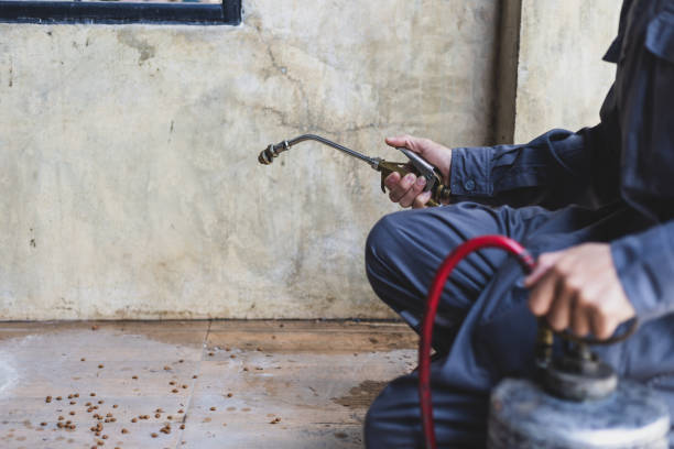 Best Local Pest Control Services  in Georgetown, DE